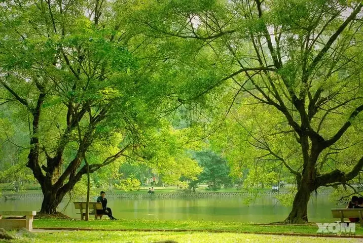 Công Viên Bách Thảo Ở Đâu Công Viên Bách Thảo Ở Đâu