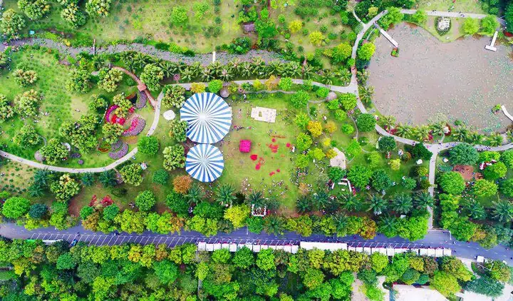 Công Viên Mùa Xuân Ecopark Ở Đâu