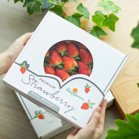 Cửa Hàng Dâu Tây Đà Lạt Cửa Hàng Dâu Tây Đà Lạt