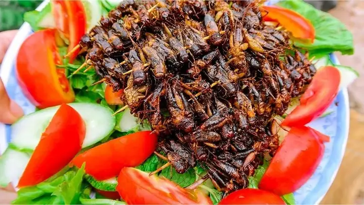 Đặc Sản Kon Tum Là Gì