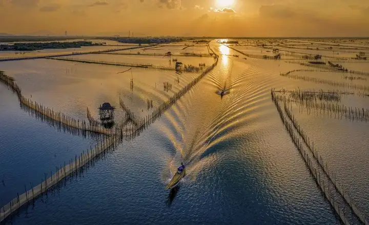 Đầm Phá Tam Giang Ở Đâu Đầm Phá Tam Giang Ở Đâu