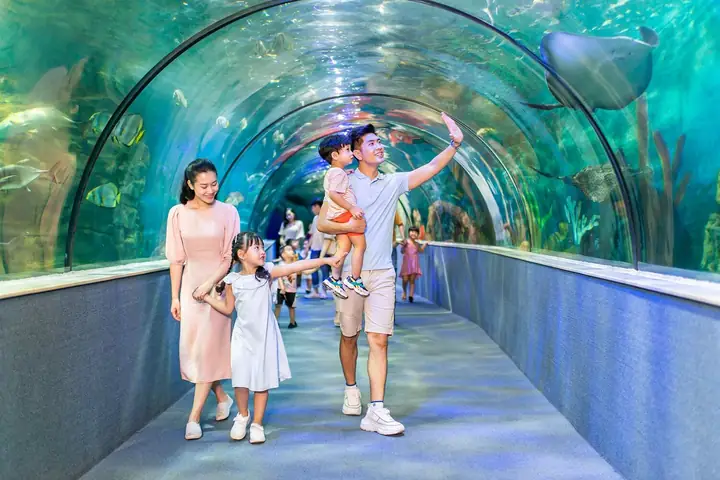 Địa Điểm Đi Chơi Ở Hà Nội Cho Trẻ Em