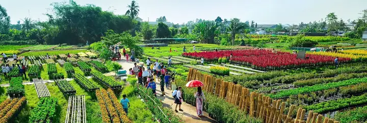 Địa Điểm Du Lịch Đồng Tháp