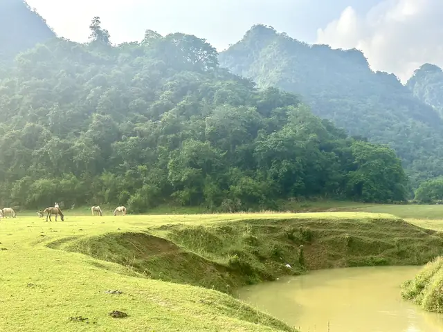 Đồng Lâm Hữu Liên Hữu Lũng Lạng Sơn Đồng Lâm Hữu Liên Hữu Lũng Lạng Sơn