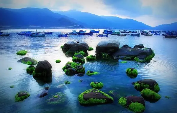 Du Lịch Bình Hưng Cam Ranh Du Lịch Bình Hưng Cam Ranh