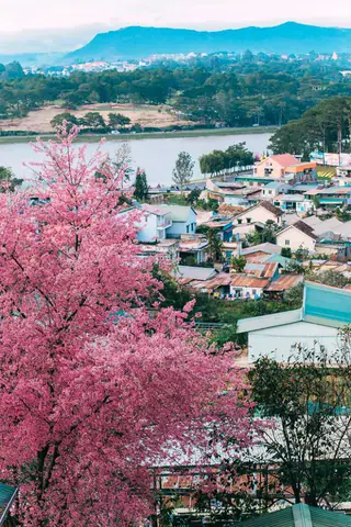 Du Lịch Đà Lạt Mùa Nào Đẹp