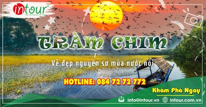 Du Lịch Đồng Tháp 2 Ngày 1 Đêm