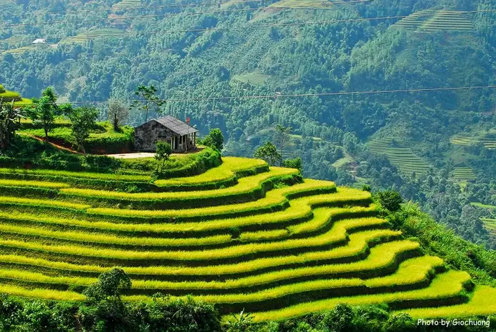 Du Lịch Hà Nội Hà Giang Du Lịch Hà Nội Hà Giang
