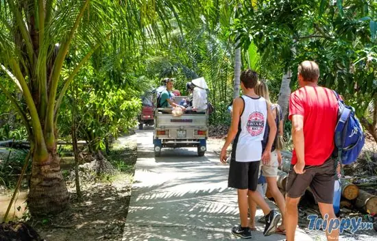 Du Lịch Miệt Vườn Tiền Giang Du Lịch Miệt Vườn Tiền Giang