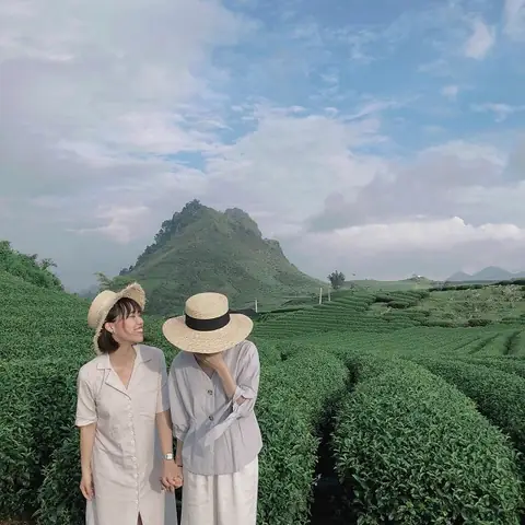 Du Lịch Mộc Châu Tháng 3 Du Lịch Mộc Châu Tháng 3