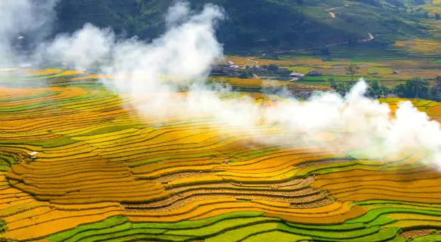 Du Lịch Mù Cang Chải Mùa Lúa Chín Du Lịch Mù Cang Chải Mùa Lúa Chín