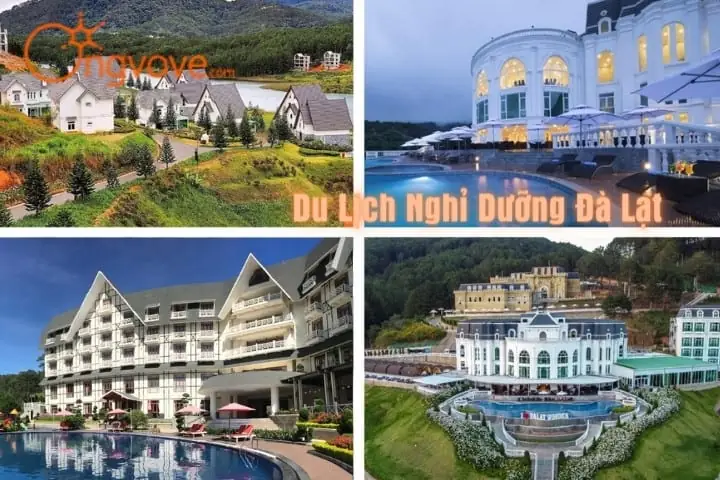 Du Lịch Nghỉ Dưỡng Đà Lạt