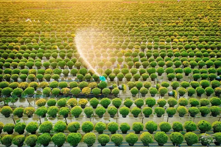 Du Lịch Sa Đéc Đồng Tháp Du Lịch Sa Đéc Đồng Tháp