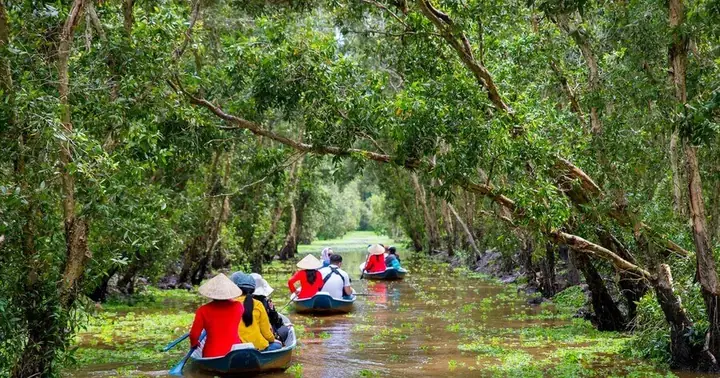 Du Lịch Trà Sư An Giang Du Lịch Trà Sư An Giang