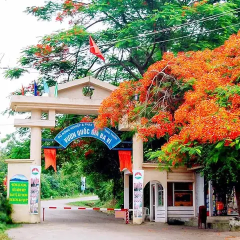 Du Lịch Vườn Quốc Gia Ba Vì 1 Ngày Du Lịch Vườn Quốc Gia Ba Vì 1 Ngày