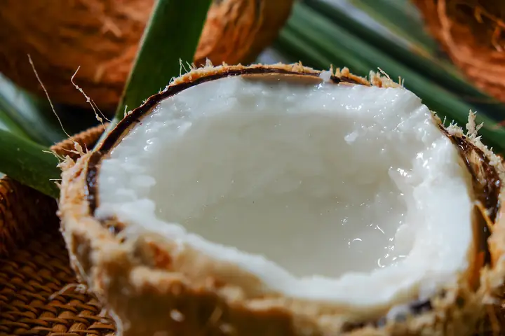 Dừa Sáp Để Được Bao Lâu Dừa Sáp Để Được Bao Lâu