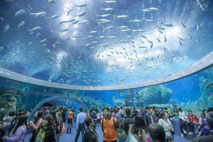 Giá Vé Vào Viện Hải Dương Học Nha Trang