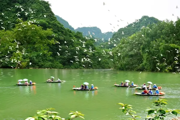 Giá Vé Vườn Chim Thung Nham Giá Vé Vườn Chim Thung Nham