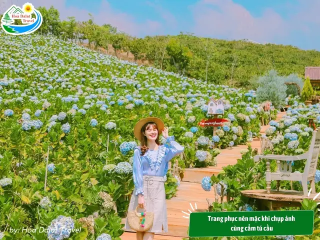Giá Vé Vườn Hoa Cẩm Tú Cầu Đà Lạt Giá Vé Vườn Hoa Cẩm Tú Cầu Đà Lạt