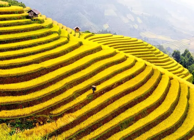 Giới Thiệu Về Ruộng Bậc Thang Hoàng Su Phì Giới Thiệu Về Ruộng Bậc Thang Hoàng Su Phì