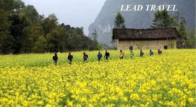 Hà Giang Nên Đi Tháng Mấy
