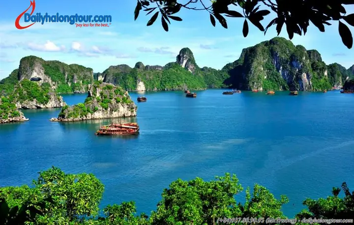 Hạ Long Bay Nổi Tiếng Về Cái Gì