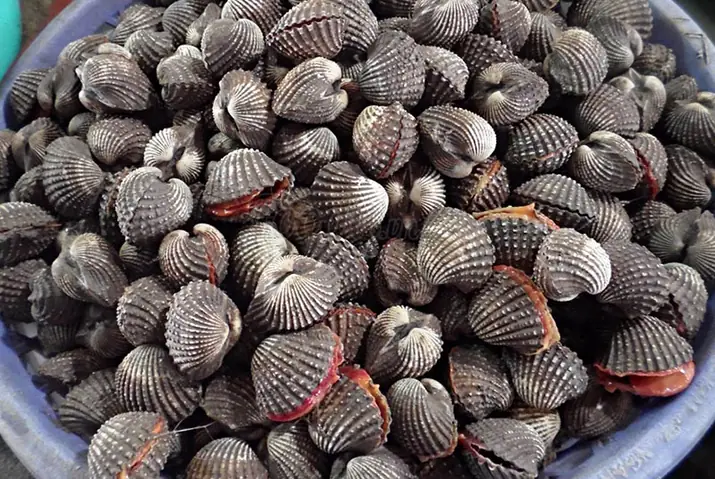 Hải Sản Bình Đại Bến Tre