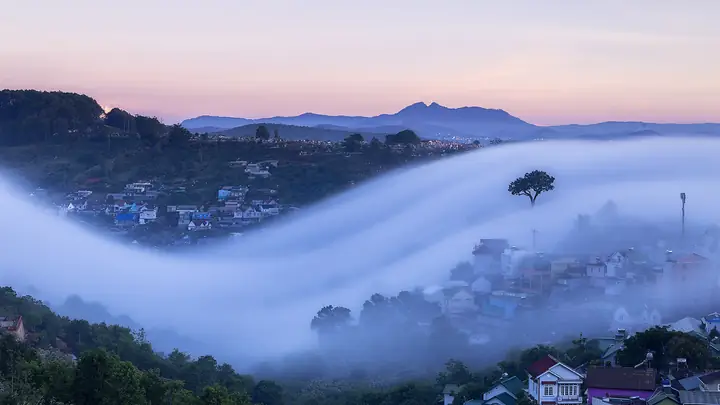 Hình Ảnh Sương Mù Đà Lạt Hình Ảnh Sương Mù Đà Lạt