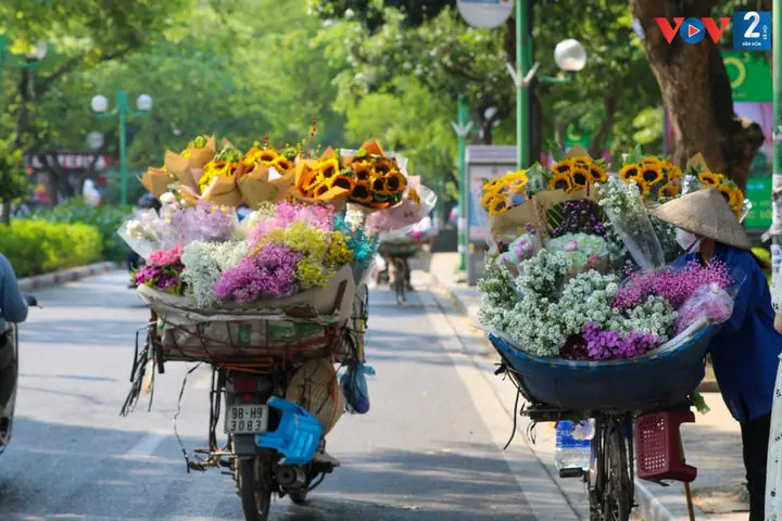 Hình Ảnh Xe Đạp Chở Hoa Hình Ảnh Xe Đạp Chở Hoa