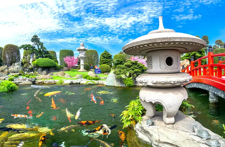 Hồ Cá Koi Rin Rin Park Hồ Cá Koi Rin Rin Park