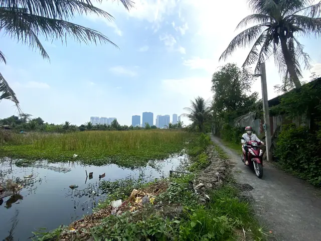 Hồ Câu Cá Lóc Thanh Đa Hồ Câu Cá Lóc Thanh Đa