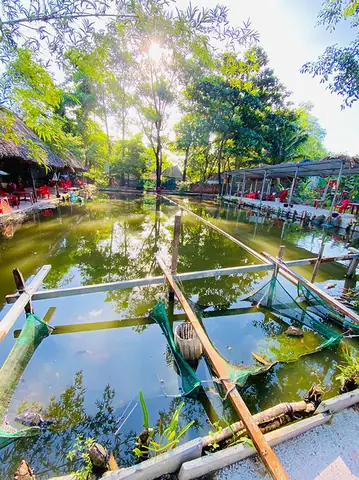 Hồ Câu Cá Rô Đầu Vuông