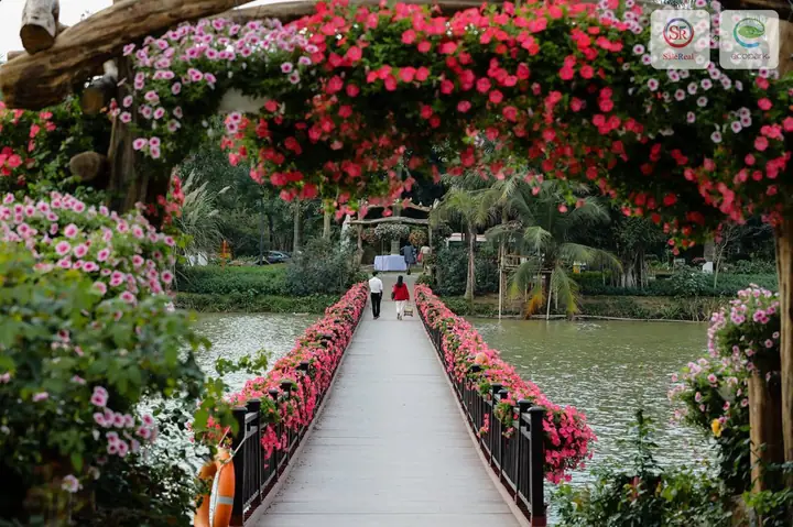 Hồ Thiên Nga Ecopark Hưng Yên
