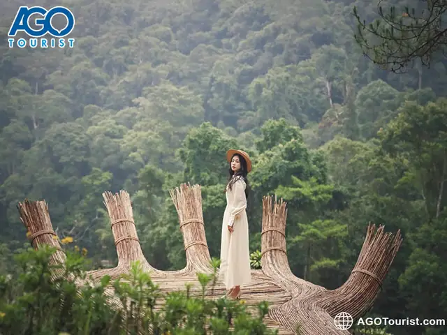 Hoa Sơn Điền Trang Giá Vé Hoa Sơn Điền Trang Giá Vé