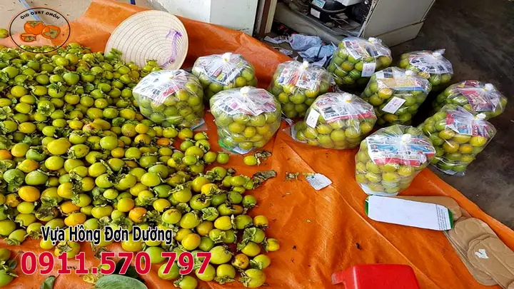 Hồng Đà Lạt Có Mấy Loại Hồng Đà Lạt Có Mấy Loại