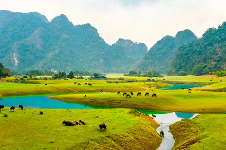 Hữu Lũng Lạng Sơn Cách Hà Nội Bao Nhiêu Km Hữu Lũng Lạng Sơn Cách Hà Nội Bao Nhiêu Km