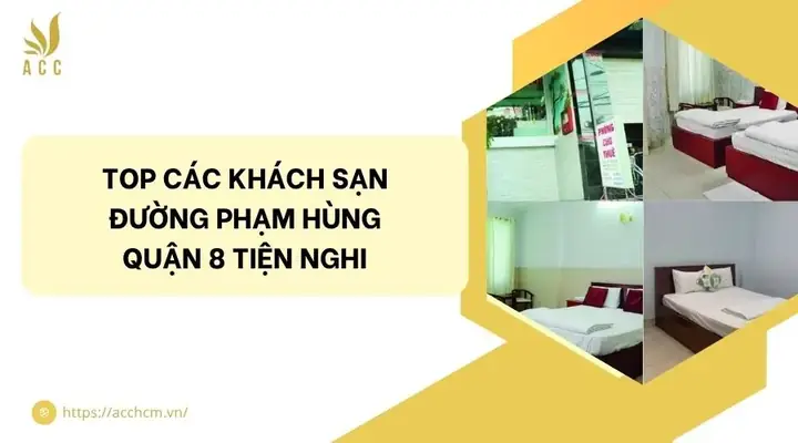 Khách Sạn Đường Phạm Hùng Quận 8 Khách Sạn Đường Phạm Hùng Quận 8