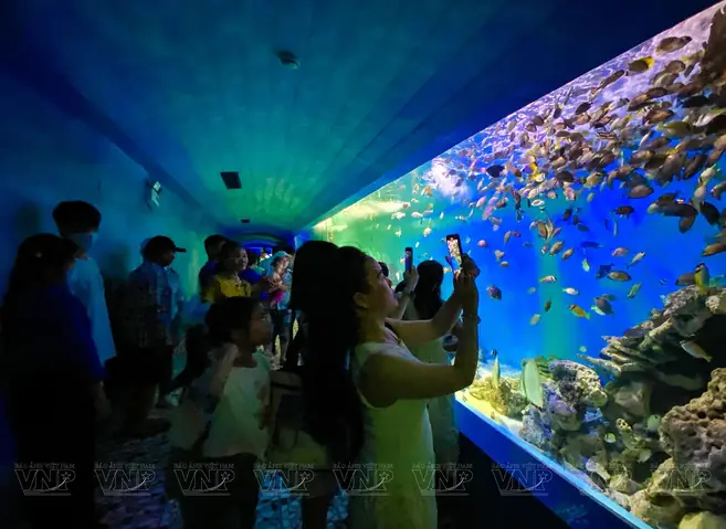 Khám Phá Viện Hải Dương Học Nha Trang Khám Phá Viện Hải Dương Học Nha Trang