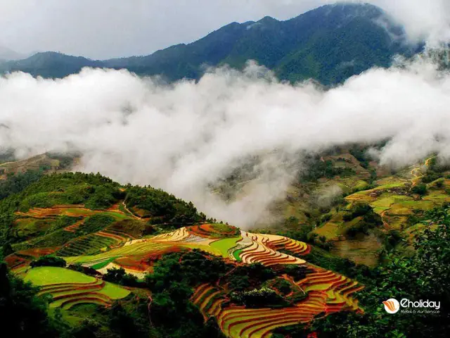 Khí Hậu Ở Sapa Như Thế Nào Khí Hậu Ở Sapa Như Thế Nào