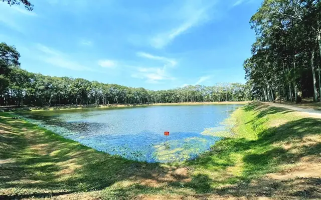 Khu Du Lịch Ao Bà Om Trà Vinh Khu Du Lịch Ao Bà Om Trà Vinh