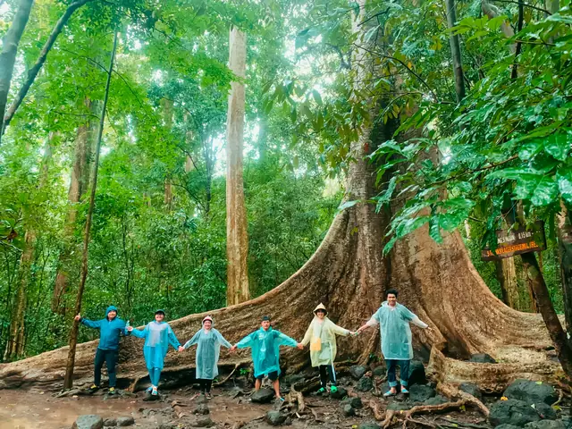 Khu Du Lịch Rừng Nam Cát Tiên Khu Du Lịch Rừng Nam Cát Tiên