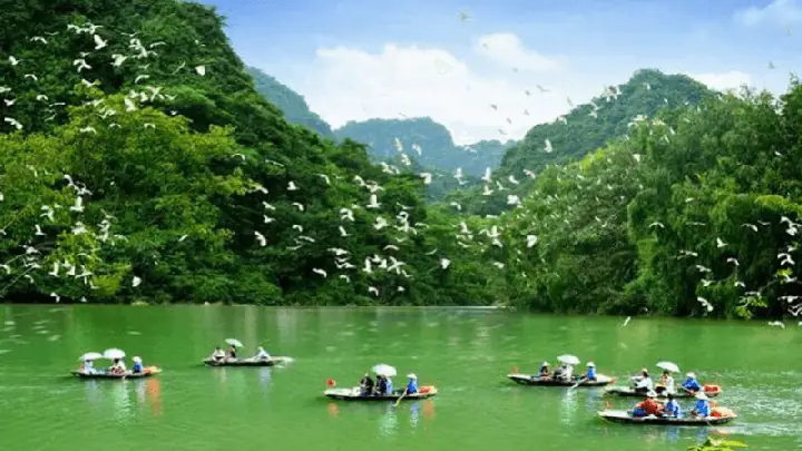 Khu Du Lịch Sinh Thái Ở Thủ Đức