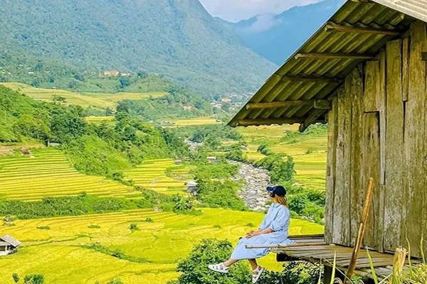 Khu Nghỉ Dưỡng Trạm Tấu Yên Bái Khu Nghỉ Dưỡng Trạm Tấu Yên Bái