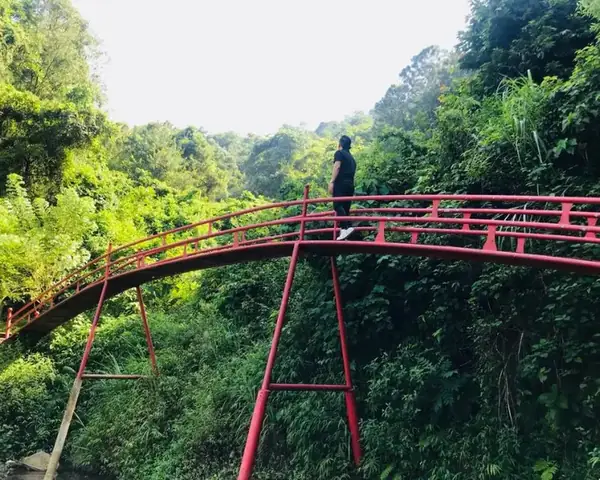 Khu Sinh Thái Thiên Phú Lâm Sóc Sơn Hà Nội Khu Sinh Thái Thiên Phú Lâm Sóc Sơn Hà Nội
