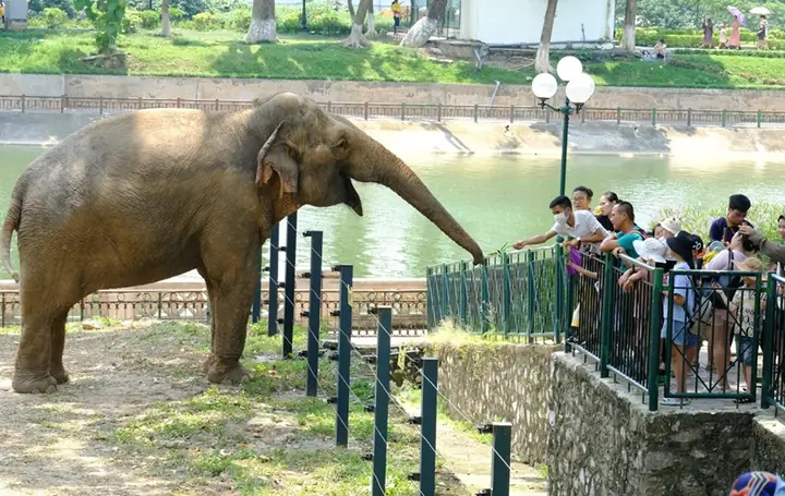 Kinh Nghiệm Đi Công Viên Thủ Lệ Kinh Nghiệm Đi Công Viên Thủ Lệ