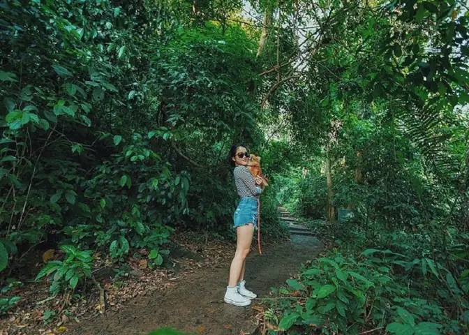 Kinh Nghiệm Đi Rừng Cúc Phương Kinh Nghiệm Đi Rừng Cúc Phương