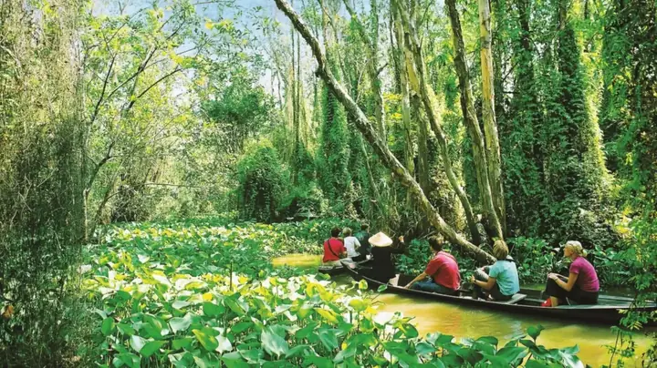 Kinh Nghiệm Du Lịch Đồng Tháp Kinh Nghiệm Du Lịch Đồng Tháp