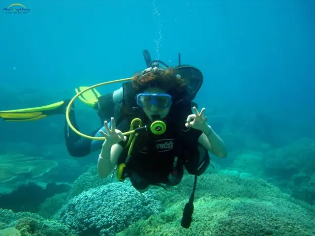 Kinh Nghiệm Lặn Biển Nha Trang Kinh Nghiệm Lặn Biển Nha Trang