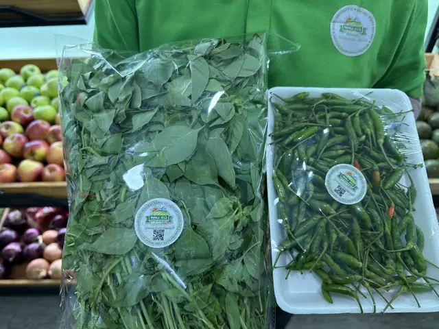 Lá É Mua Ở Đâu Hà Nội Lá É Mua Ở Đâu Hà Nội