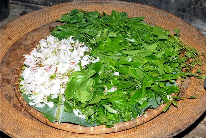 Lá Hoa Ban Có Ăn Được Không Lá Hoa Ban Có Ăn Được Không
